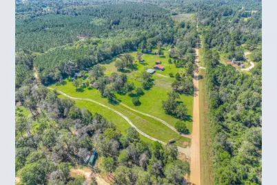 438 Bird Road, Livingston, TX 77351 - Photo 28