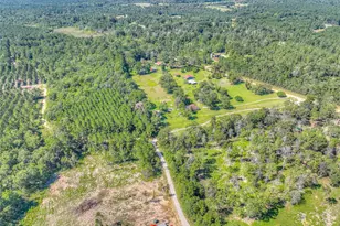 438 Bird Rd, Livingston, TX 77351 - Photo 30