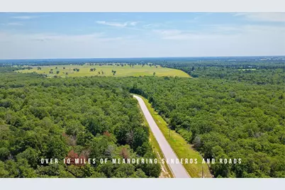 Tbd County Road 405 - 839 Acres, Lexington, TX 78947 - Photo 12