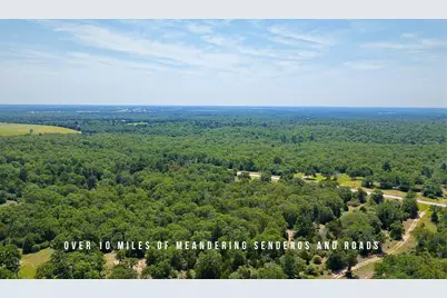 Tbd County Road 405 - 839 Acres, Lexington, TX 78947 - Photo 16