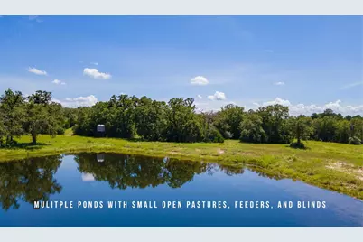 Tbd County Road 405 - 839 Acres, Lexington, TX 78947 - Photo 2