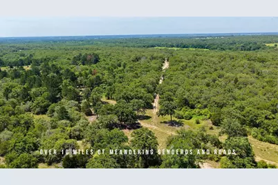 Tbd County Road 405 - 839 Acres, Lexington, TX 78947 - Photo 10