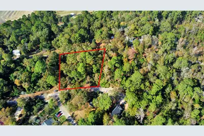 Lot 37 Loper Lake Drive, Livingston, TX 77351 - Photo 8