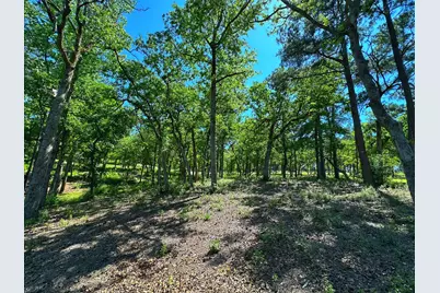 Tract 152 Pr 1311, Centerville, TX 75833 - Photo 8