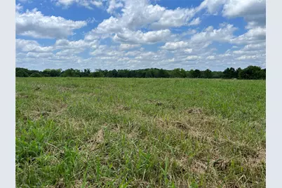 880 Tafelski Road, New Waverly, TX 77358 - Photo 6