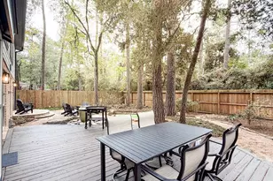 29 Pinewood Forest Ct, The Woodlands, TX 77381 - Photo 44