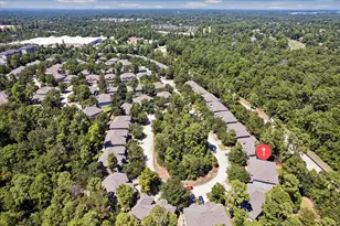 63 Benedict Canyon Loop, The Woodlands, TX 77382 - Photo 26