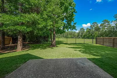 14 Sprite Woods Place, The Woodlands, TX 77382 - Photo 38