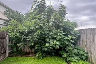 21839 Manitou Falls Ln, Katy, TX 77449 - Photo 32