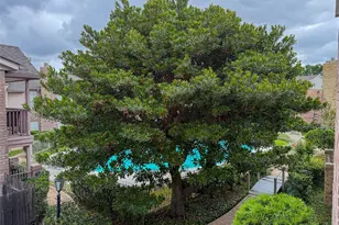 3100 Jeanetta St, Houston, TX 77063 - Photo 18