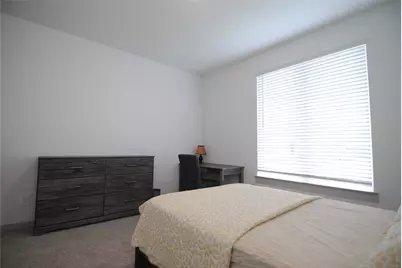 29207 Pikes Peak Drive, Katy, TX 77494 - Photo 18