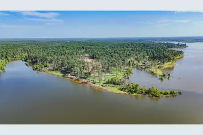 162 Foster Cove, Pineland, TX 75968 - Photo 4