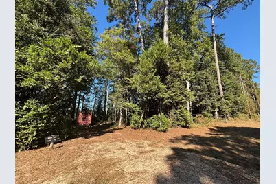 00 L C Herschap Lane, Livingston, TX 77351 - Photo 1