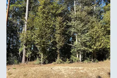 00 L C Herschap Lane, Livingston, TX 77351 - Photo 6