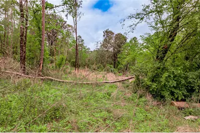 0000 Big Foot Wallace Trail, Livingston, TX 77351 - Photo 14