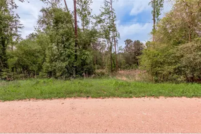 0000 Big Foot Wallace Trail, Livingston, TX 77351 - Photo 10