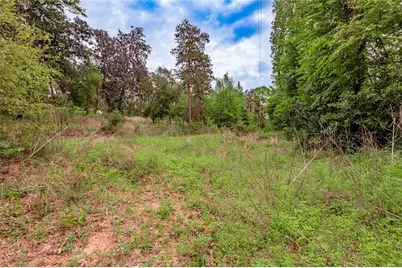 0000 Big Foot Wallace Trail, Livingston, TX 77351 - Photo 16