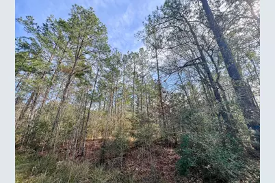 T-1 Zavalla Road, Mauriceville, TX 77626 - Photo 2