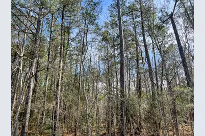 T-1 Zavalla Road, Mauriceville, TX 77626 - Photo 6