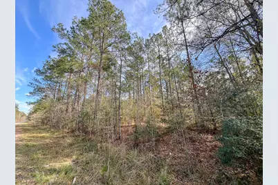 T-1 Zavalla Road, Mauriceville, TX 77626 - Photo 4
