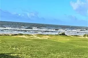 985 Marjorie, Gilchrist, TX 77617 - Photo 1