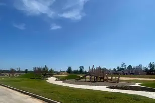 15389 Dapple Blf Ln, Conroe, TX 77302 - Photo 12