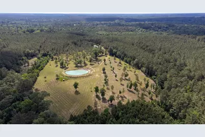 1068 County Road 3200, Colmesneil, TX 75938 - Photo 1