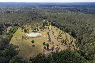 1068 Co Rd 3200, Colmesneil, TX 75938 - Photo 1