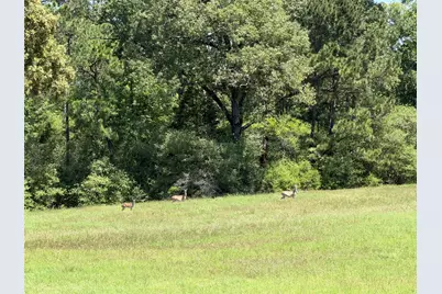 3095 Hwy 75 South, Centerville, TX 75833 - Photo 10