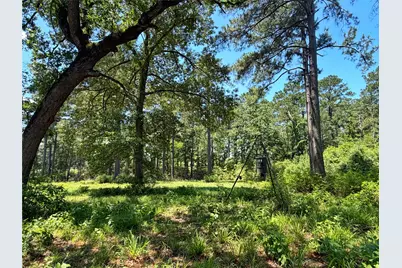 3095 Hwy 75 South, Centerville, TX 75833 - Photo 44