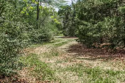 7157 Fm 1697 Tract 2, Carmine, TX 78932 - Photo 6