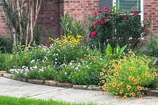 6610 Sprigg St, Fulshear, TX 77441 - Photo 40