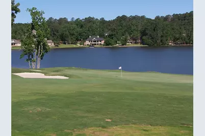 654 Cherry Hills Drive, Huntsville, TX 77340 - Photo 6