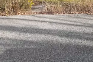 7031 Foster St, Houston, TX 77021 - Photo 2