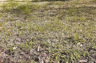 7031 Foster St, Houston, TX 77021 - Photo 4