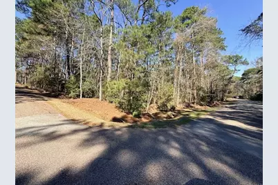 2 Helena Court, Coldspring, TX 77331 - Photo 2