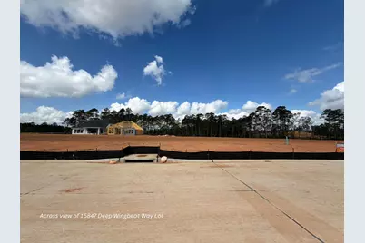 16847 Deep Wingbeat Way, Magnolia, TX 77354 - Photo 12