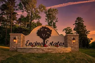 3039 Coast Dr, Dayton, TX 77535 - Photo 48