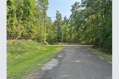 20 Lower Cove Drive, Point Blank, TX 77364 - Photo 10