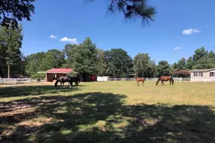 26768 B Dobbin Huffsmith Rd, Magnolia, TX 77354 - Photo 20