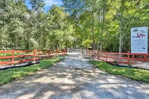 26768 B Dobbin Huffsmith Rd, Magnolia, TX 77354 - Photo 4