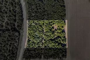 468 Vineyard View Trail Lot 16, Carmine, TX 78932 - Photo 1