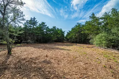 468 (Lot 16) Vineyard View Trail, Carmine, TX 78932 - Photo 16