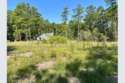 151 Ashbrook Lane, Brookeland, TX 75931 - Photo 10