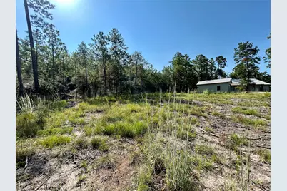 151 Ashbrook Lane, Brookeland, TX 75931 - Photo 4