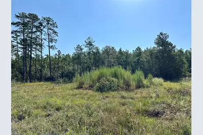 151 Ashbrook Lane, Brookeland, TX 75931 - Photo 16
