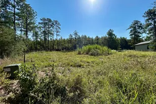 151 Ashbrook Ln, Brookeland, TX 75931 - Photo 1