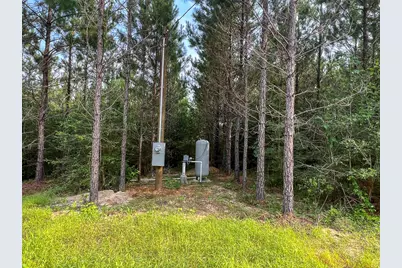 1 Cody Road, Livingston, TX 77351 - Photo 6