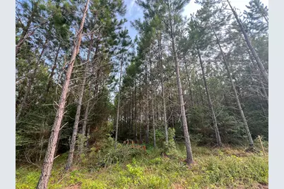1 Cody Road, Livingston, TX 77351 - Photo 10