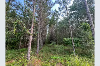 1 Cody Road, Livingston, TX 77351 - Photo 12